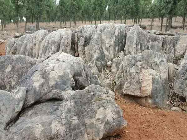 龟纹石、石质优良