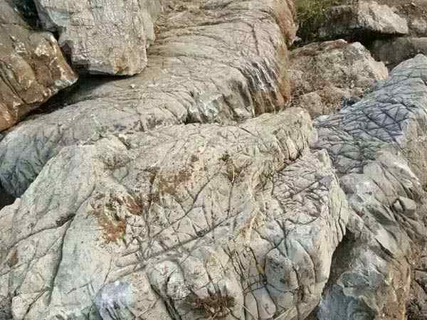 龟纹石、石质优良