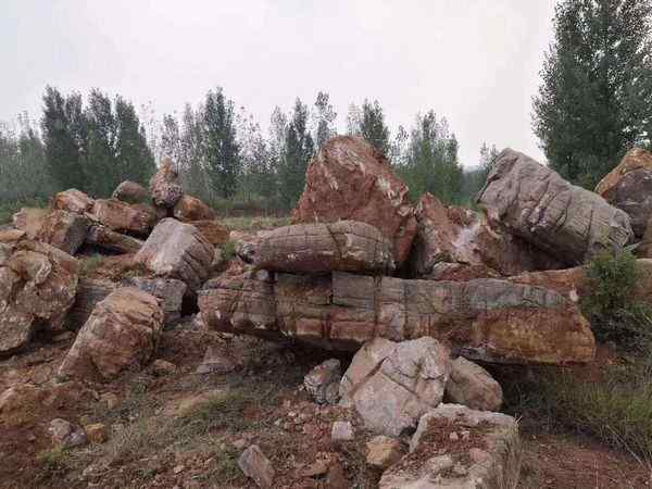 假山石材、纹理清晰