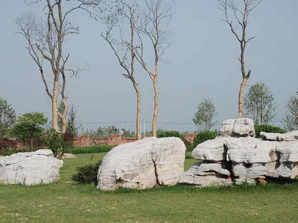 草坪石、造型优美