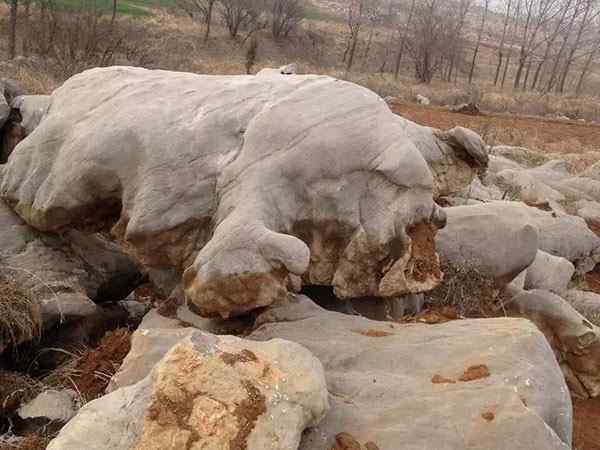 草坪石、独立成景