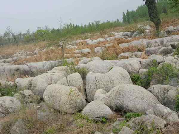 草坪石、独立成景
