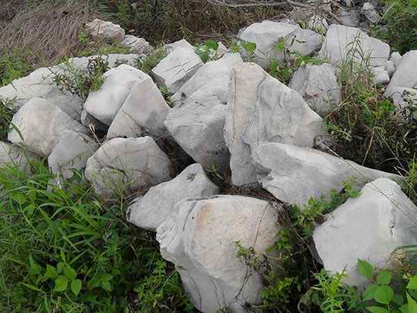 草坪石、独立成景