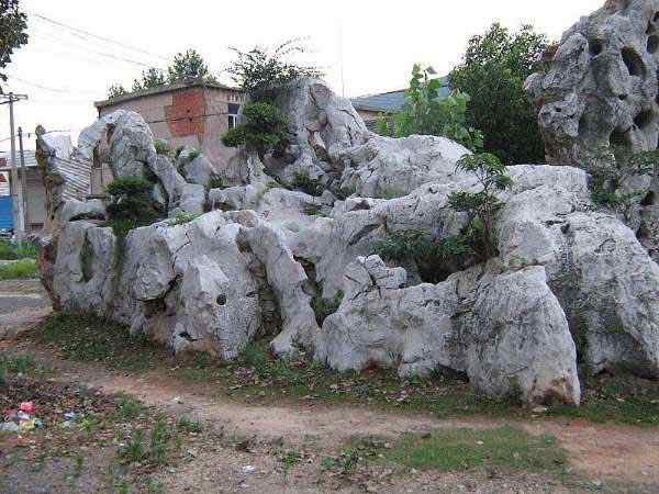 草坪石、基地直销