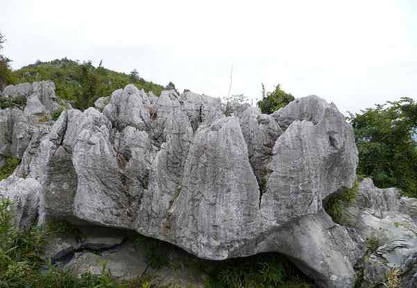 草坪石、基地直销