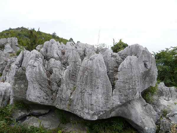 草坪石、送货上门