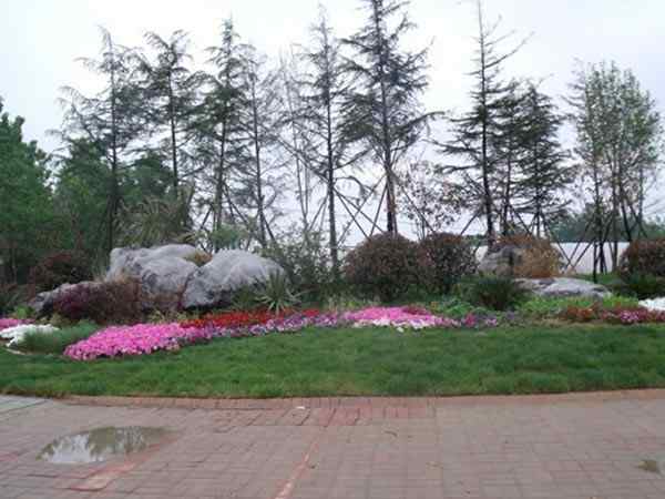 草坪石、量大从优