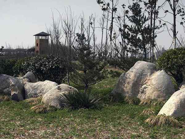 草坪石、落地成型