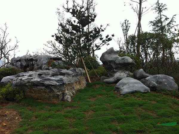 草坪石、落地成型