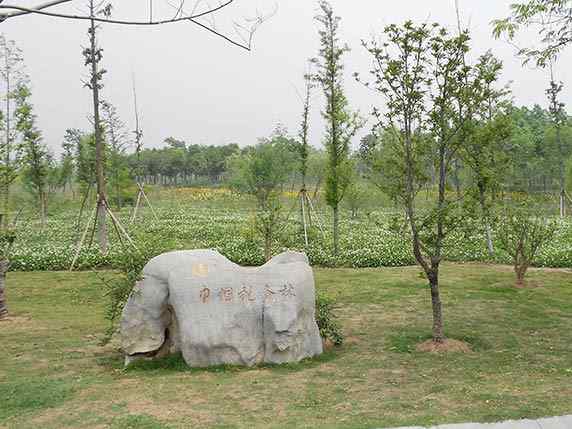 草坪石、落地成型