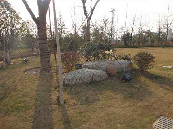 草坪石、落地成型