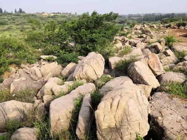 草坪石、种类丰富