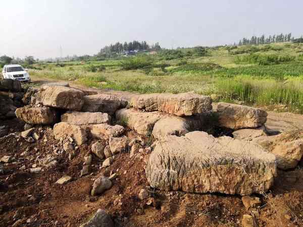 草坪石、种类丰富