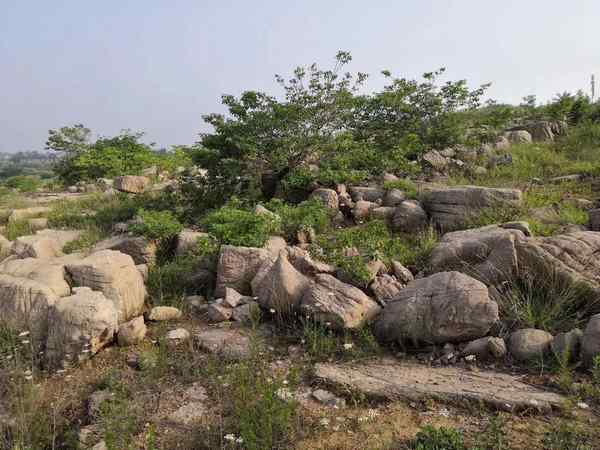 草坪石、种类丰富