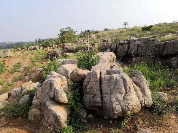 草坪石、种类丰富