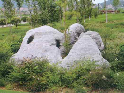 草坪石、种类丰富