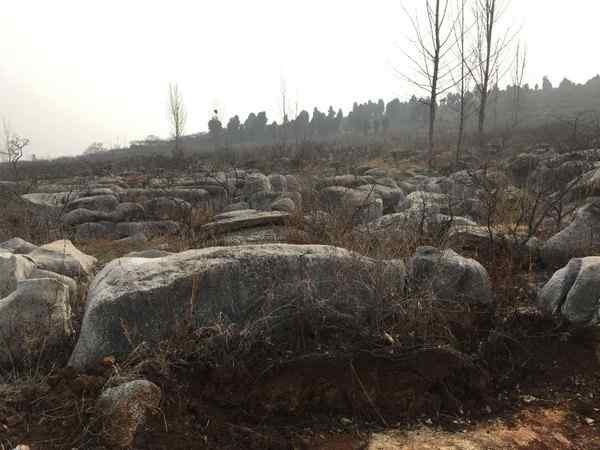 草坪石、自然光洁