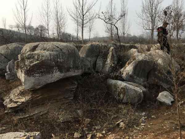 草坪石、自然光洁