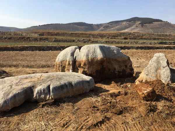 草坪石、自然光洁