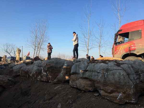 草坪石、造型奇特