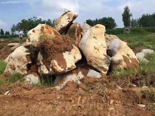 草坪石、造型奇特