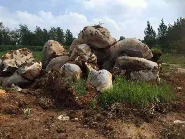 草坪石、造型奇特