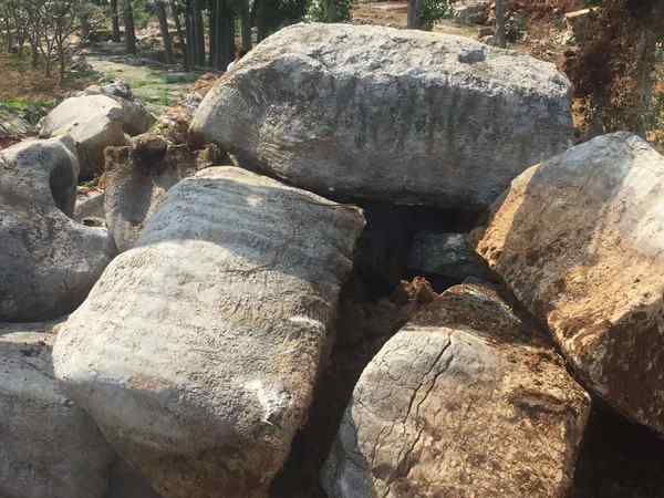 草坪石、造型奇特