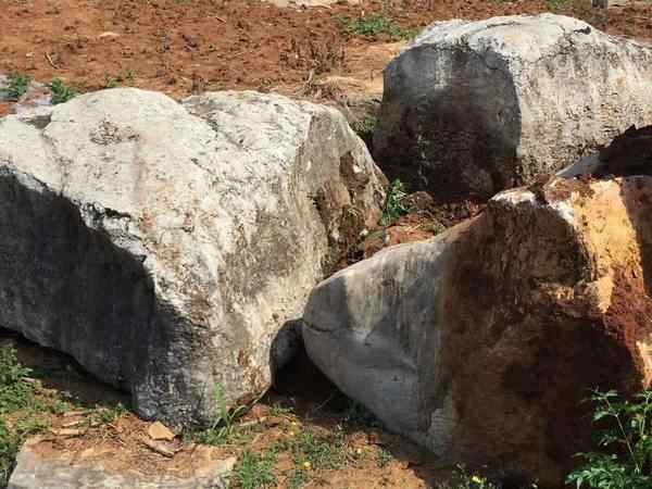 草坪石、造型奇特