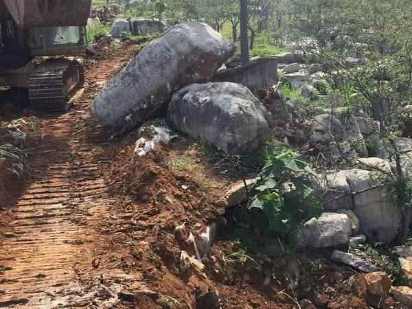 草坪石、造型奇特