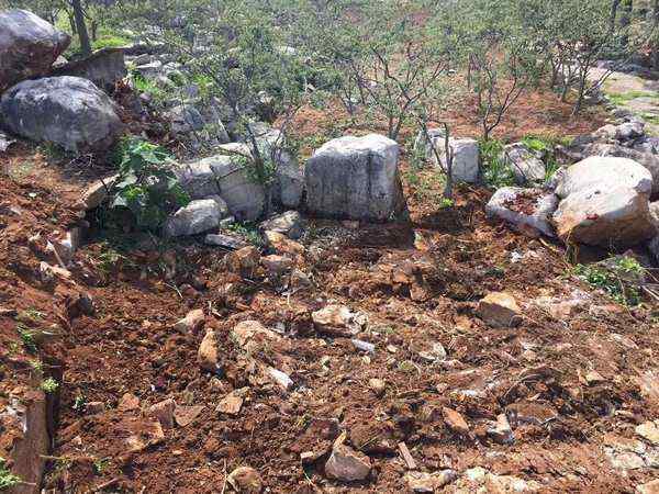 草坪石、免费安装