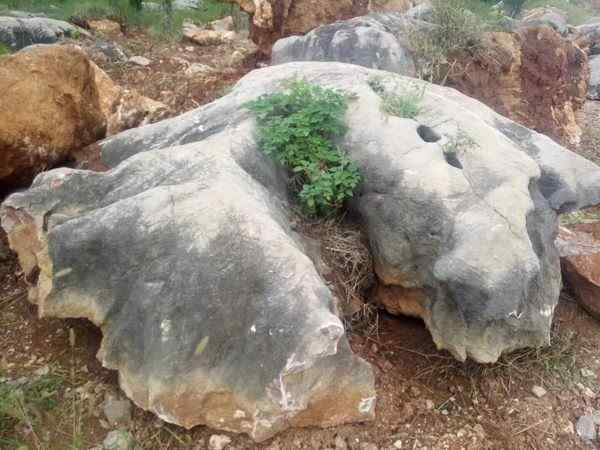 草坪石、免费安装