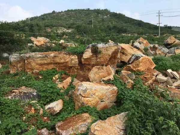 草坪石、网上价优