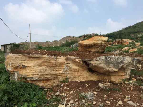 草坪石、网上价优