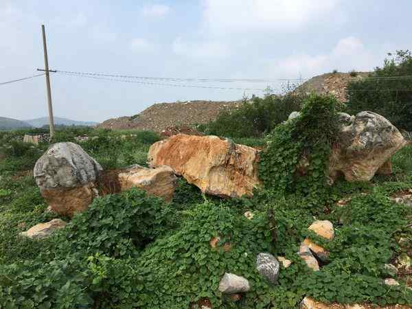 草坪石、网上价优