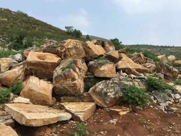 草坪石、网上价优