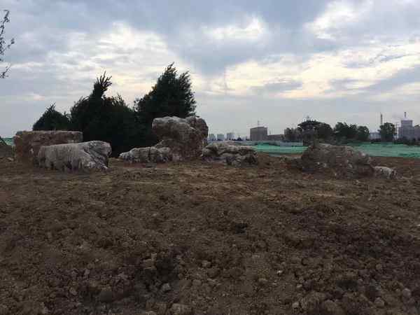 草坪石、网上价优