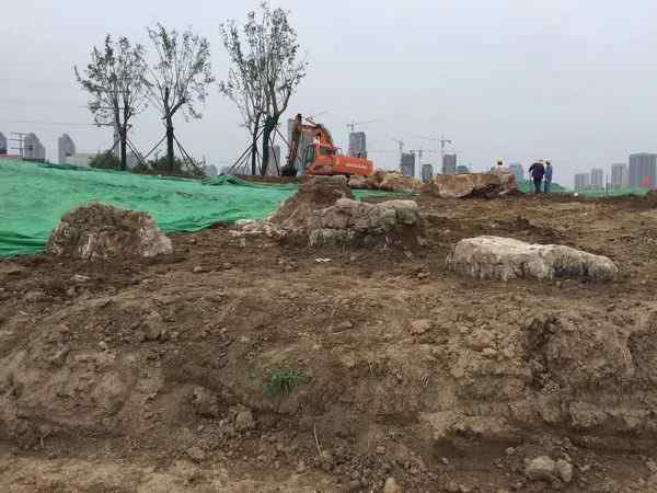 草坪石、网上价优