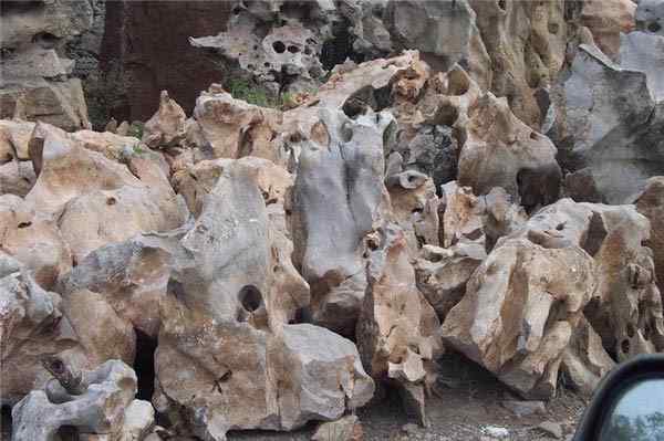 太湖石、量大从优