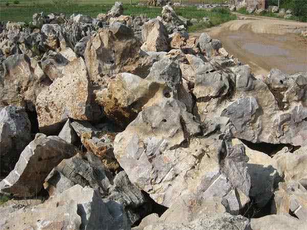 太湖石、量大从优