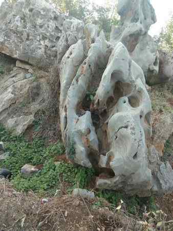 太湖石、大气美观