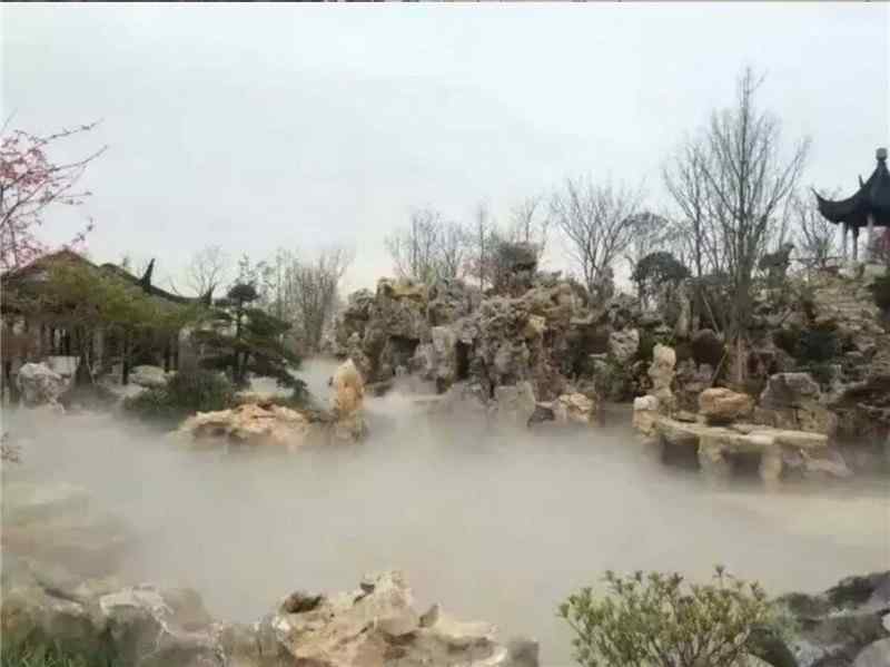 太湖石、大气美观