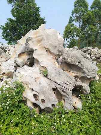 太湖石、天然形成