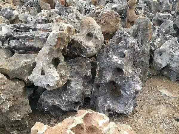 太湖石、私人订制