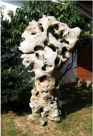 太湖石、免费设计