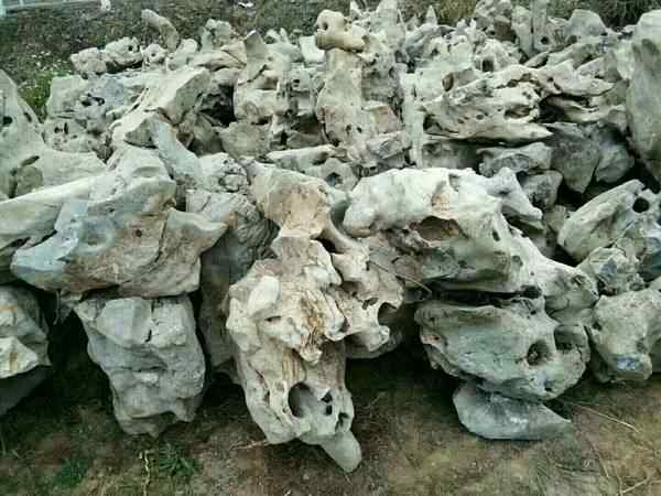 太湖石、免费设计