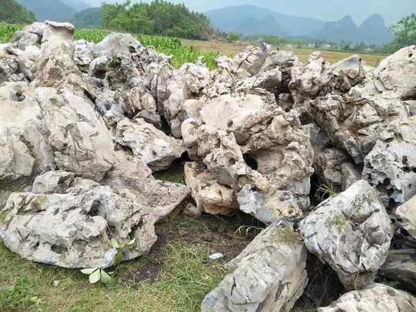 太湖石、免费设计