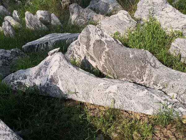 泰山石、送货上门