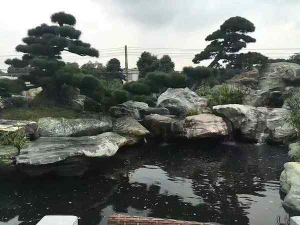 泰山石、免费设计