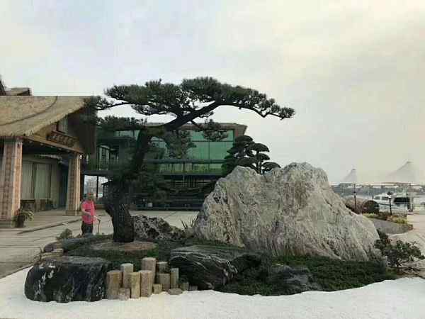 泰山石、免费设计