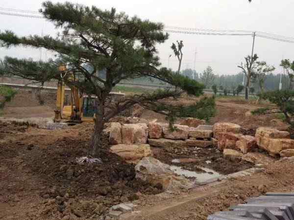 假山工程、资源丰富